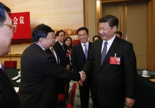 习近平：坚决扭转政府职能错位越位缺位现象