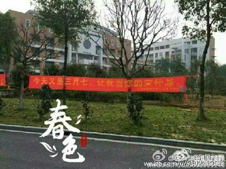 宋仲基是大家的