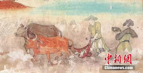 为了让&ldquo;龙&rdquo;顺利地&ldquo;抬头&rdquo;，这天家里要停止一切家务，尤其是要停止针线活，免得&ldquo;伤了龙目&rdquo;；二月二龙抬头洗衣，恐怕&ldquo;伤了龙皮&rdquo;。二月初一的晚上，家里有石磨的就要把石磨支起来，据说是为了不要影响了&ldquo;龙抬头&rdquo;，只有这样才能&ldquo;细雨下得满地流，一年吃穿不发愁&rdquo;。图为《榆林窟第25窟-牛耕图-中唐》。敦煌研究院供图
