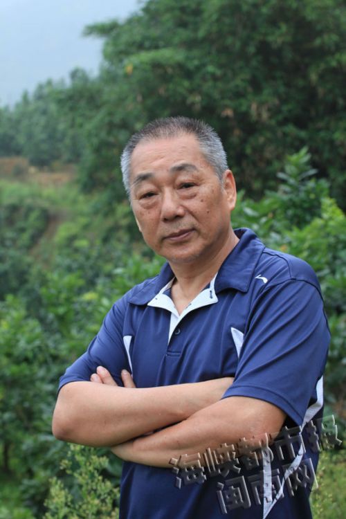 曾木桃