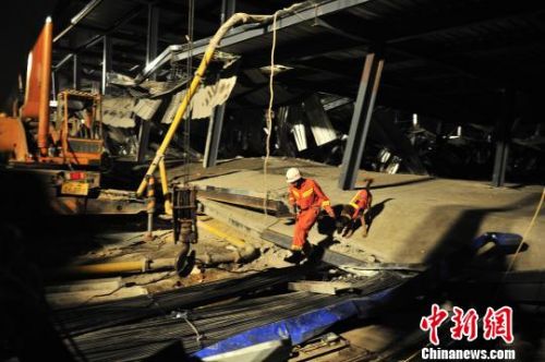 图为深夜里，救援人员带着搜救犬多次排查是否还有被困人员。　刘冉阳　摄