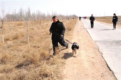 民警带警犬排查