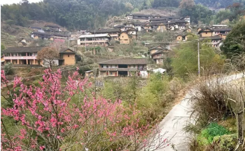 南靖县坑头村