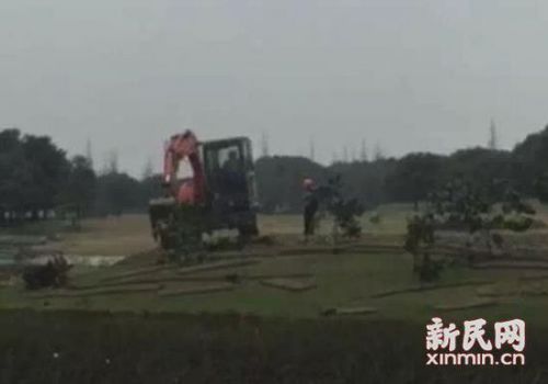 上海首家高尔夫球场因涉嫌排污问题遭强拆