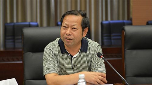 湖南日报总经理皮林