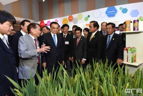 在国家杂交水稻技术中心展台听取袁隆平院士介绍时，李克强总理向五国领导人赠送大米。