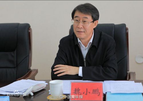 魏小鹏
