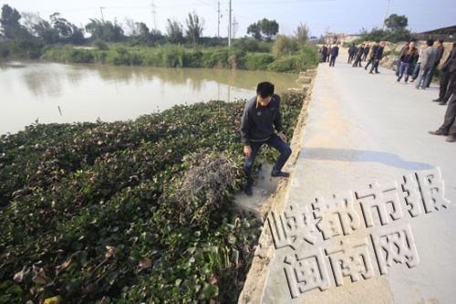 目击者说,当天下午3点多看到老人站在桥墩下清理水葫芦,过了一会儿人就不见了