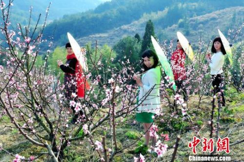 阳春三月，福州闽侯县大湖乡千亩桃园桃花盛开，吸引市民及游客流连忘返。　何启钧　摄