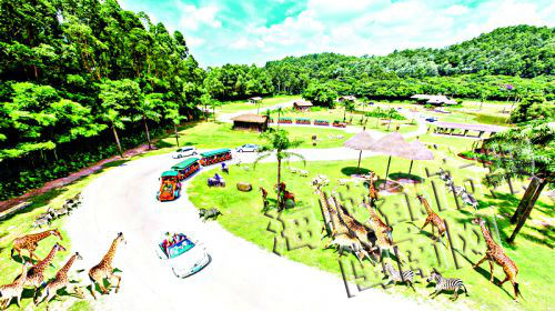 清明小长假短线游升温 优惠抵玩产品引关注