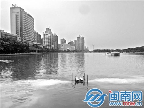 筼筜湖经过多次整治提升，水体环境明显改善