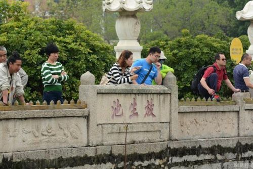 厦门南普陀寺鱼龟成灾 善男信女的放生成了“作孽”