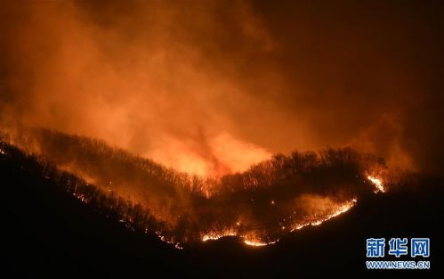 （突发事件）（1）辽宁本溪突发山火 暂无法扑灭
