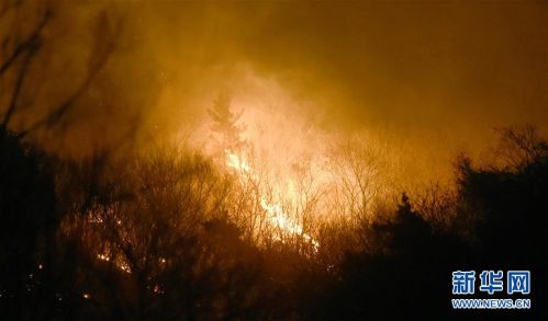 （突发事件）（3）辽宁本溪突发山火 暂无法扑灭