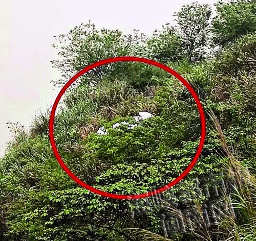 坠落的小车停在九龙江畔（网友供图）