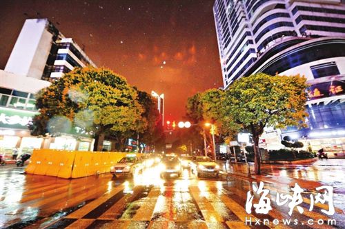 群众西路的这些大芒果树将向人行道方向外移