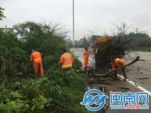 公路人员及时清理倒伏路树，保证道路畅通