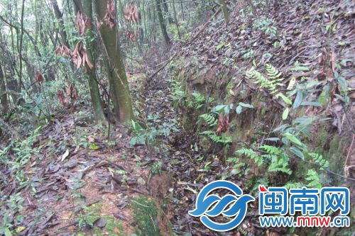 据村民介绍在，山中有通往芗城区天宝镇的驿道，旁边有战壕，也是当时的战场之一。不过，目前这也还有待史实考证。