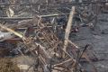 河南鲁山养老院火灾案开庭审理：6人被提起公诉
