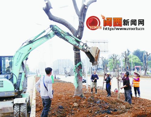 4437e69f2dff1883b46219