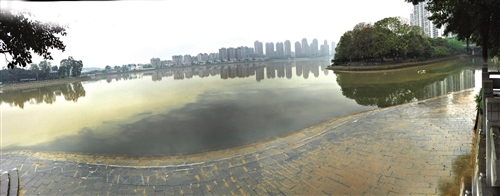 白马河与闽江交汇处的江面形成泾渭分明的两种颜色
