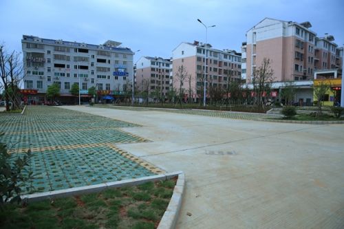 4437e69f335118891cd803