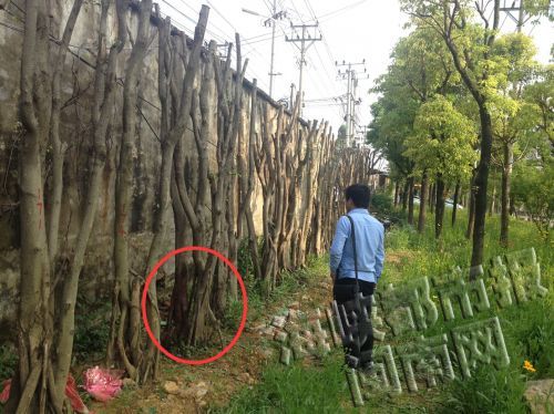 QQ截图20160429082123