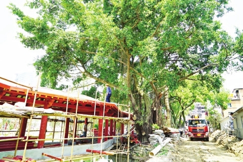 南公园湖边长亭已到修建尾声