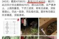 云南恶性放生百斤蛇千克臭虫 盘点荒唐放生故事