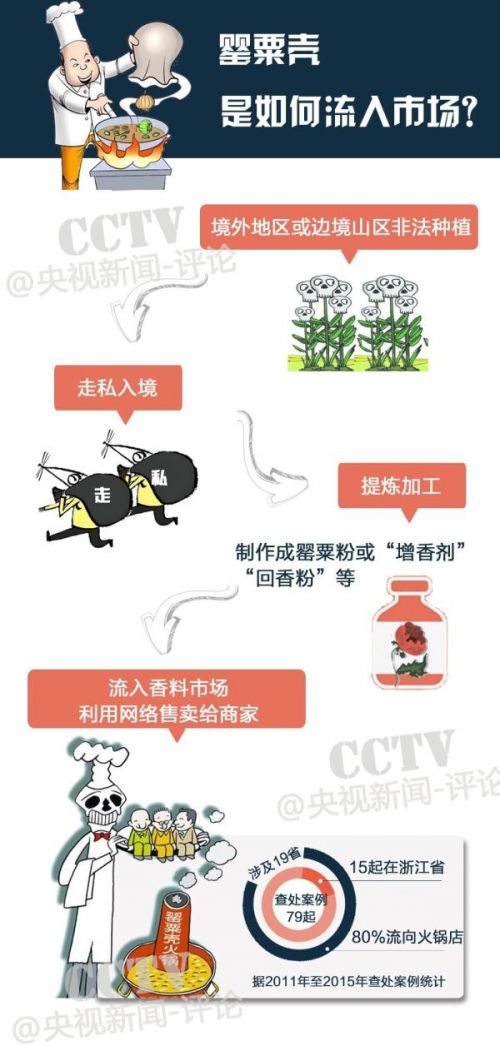 &ldquo;罂粟壳&rdquo;换名隐蔽售卖......这些行为会被判刑！