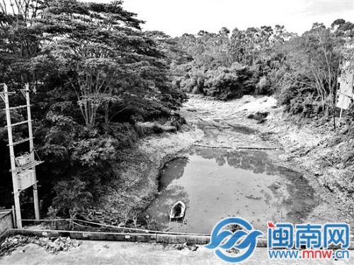 蔡某伟的遗体在池塘中被发现