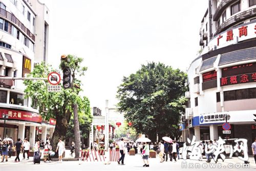 现在大树已经被修成了“秃头”