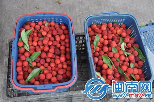 批发商一般是整篮或整框出售