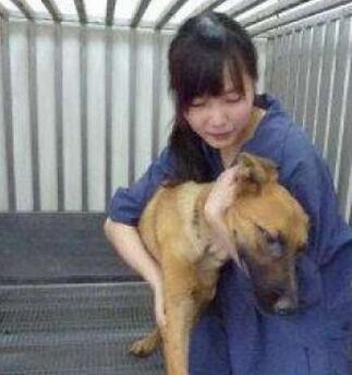 栖霞冷库老板自杀_同方 老板自杀_北京老板澳门自杀