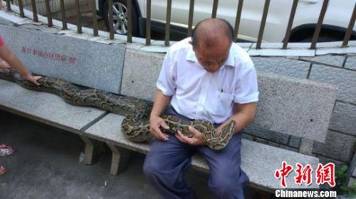 老人与蟒蛇同吃住7年 情如“亲人”故事传为佳话（图）