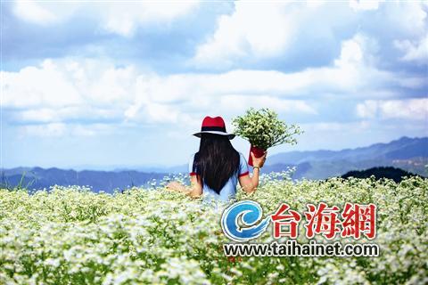 趁着花期未尽，抽空去走走吧