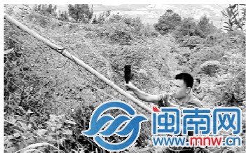 爱鸟人士用刀子除网