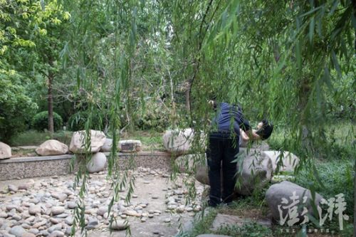 硅胶娃娃“买家秀”:58岁男人迎来