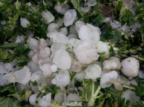 河北承德突降冰雹(现场图) 揭秘为什么承德突降冰雹