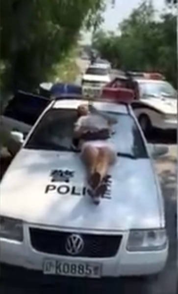 孕妻躺警车阻执法46秒视频曝光 引发大量吐槽（图）