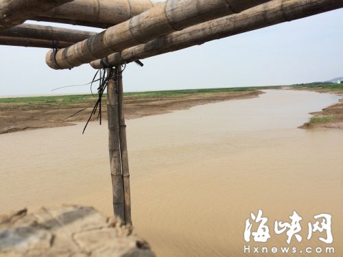 事发的湿地，旁边都是泥潭