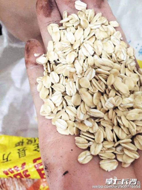 长沙晚报记者 朱炎皇 实习生 肖雪晴