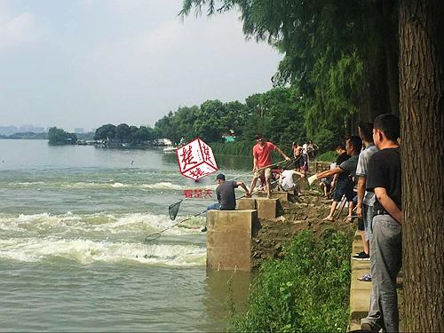 男子洪水中捞鱼被冲走 3分钟即消失无踪