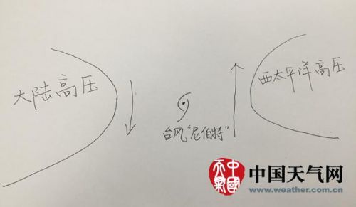 解读&ldquo;尼伯特&rdquo;临近登陆时诡异路径 为啥犯了拖延症？