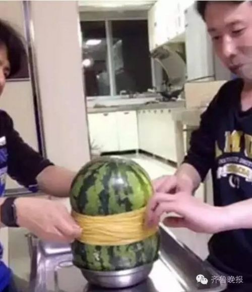 小伙用700根皮筋勒西瓜，结局喜感