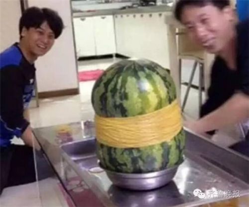 小伙用700根皮筋勒西瓜，结局喜感