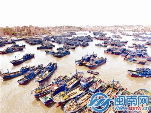 漁船在祥芝漁港陸續(xù)出海