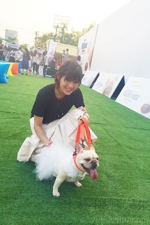 陈燃《爱宠大机密》首映 牵狗走红毯街拍画风-闽南网