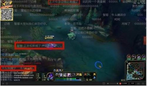 lol小智_lol小智收入