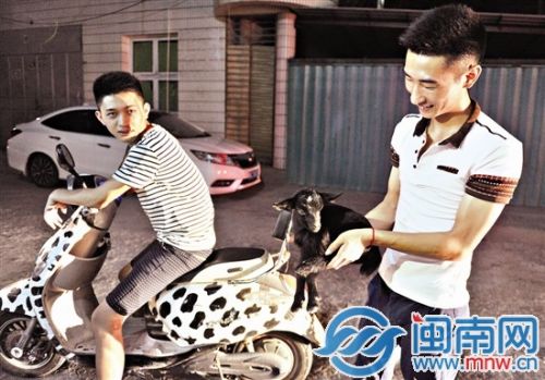 刘武和刘兴在东海捡到这只黑色小羊羔